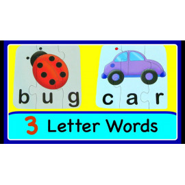LETTER WORD & PICTURE 1PC